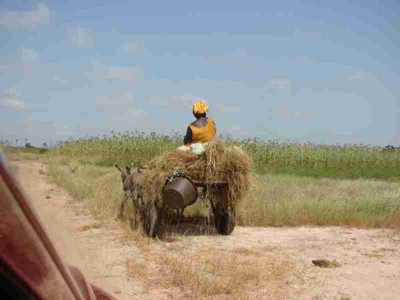 BEAUTÉ DU SÉNÉGAL