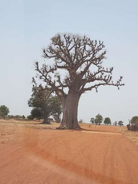 Beauté du Sénégal