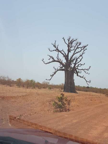 Beauté du Sénégal