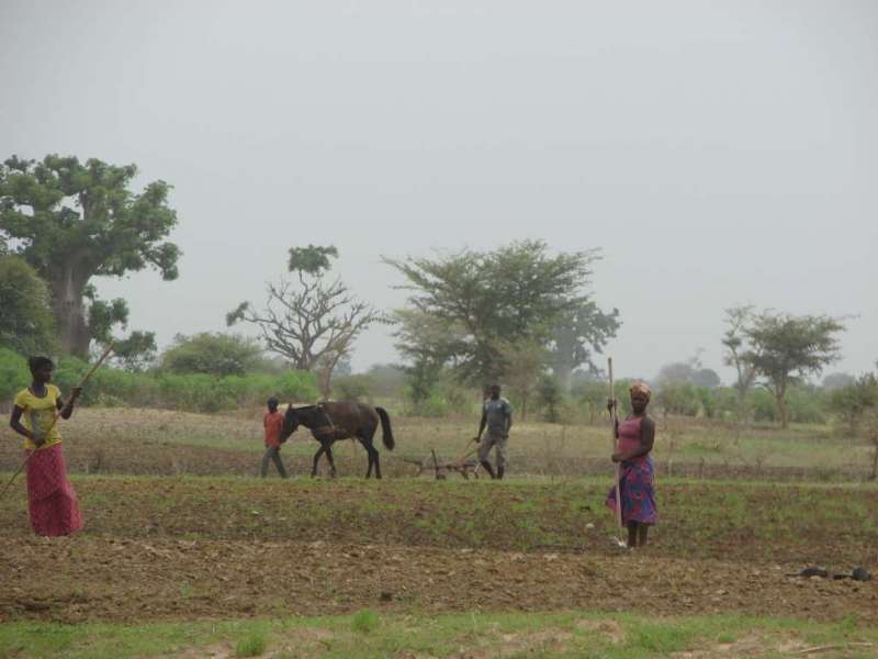 Beauté du Sénégal