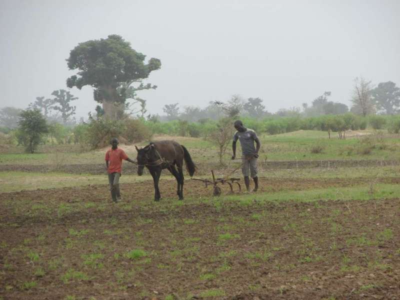 Beauté du Sénégal