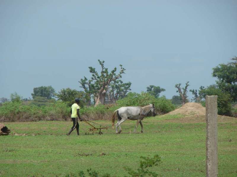 Beauté du Sénégal