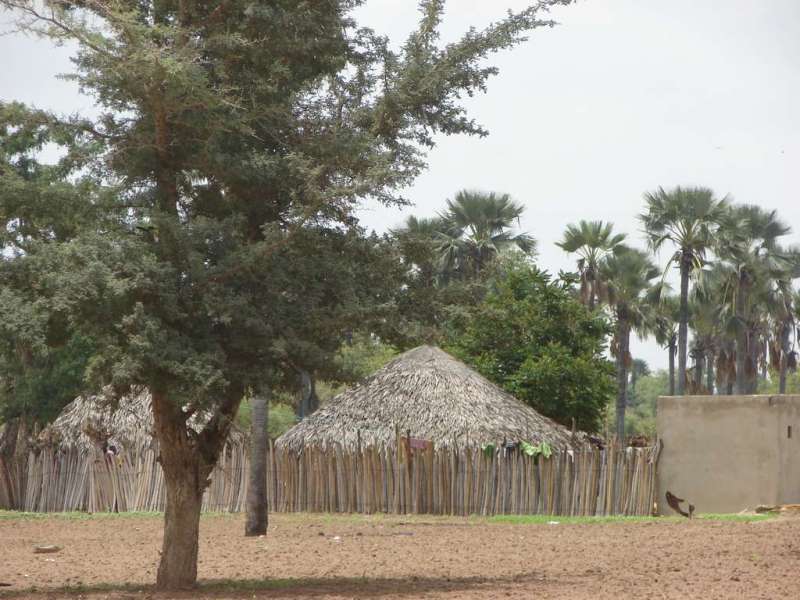 Beauté du Sénégal