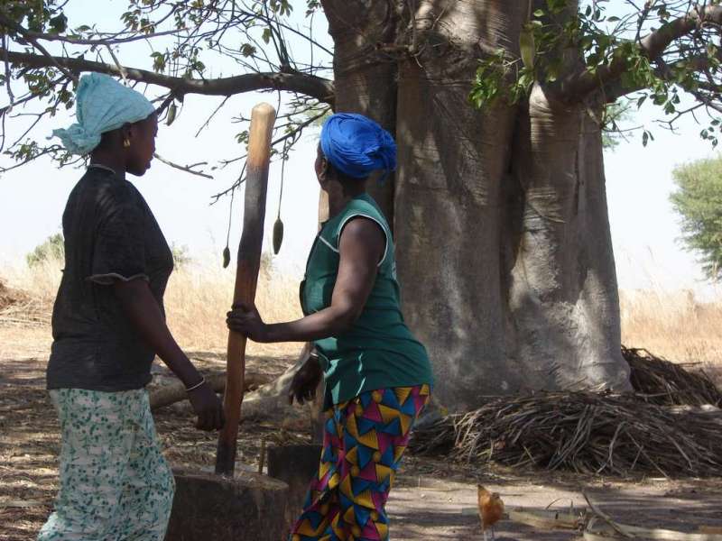 Beauté du Sénégal