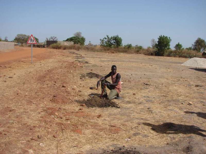 Clôture de la plantation