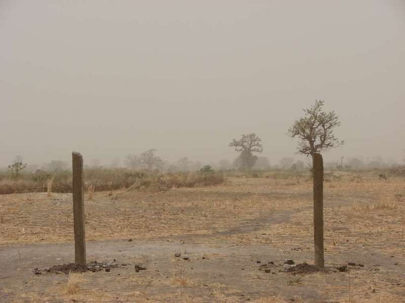 Clôture de la plantation