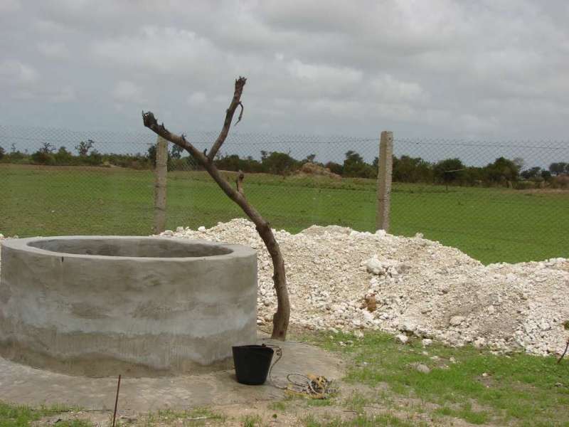 Les puits de la plantation