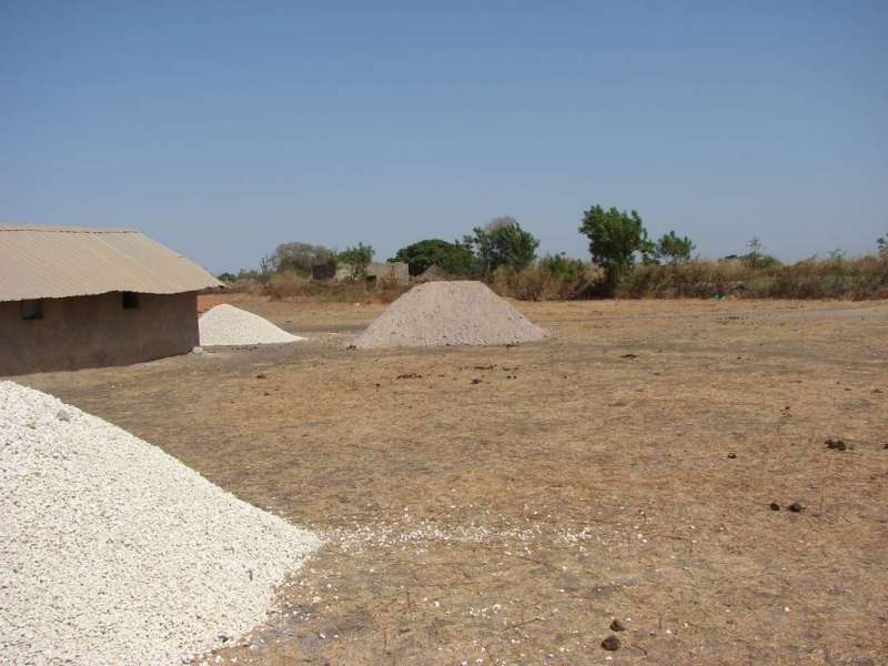 Ouverture du chantier de la plantation