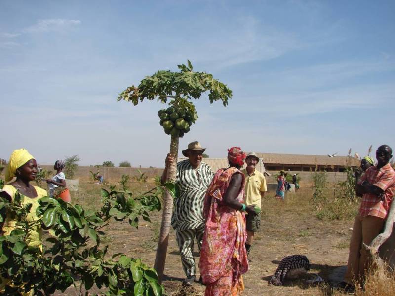 Plantation CA Indosuez