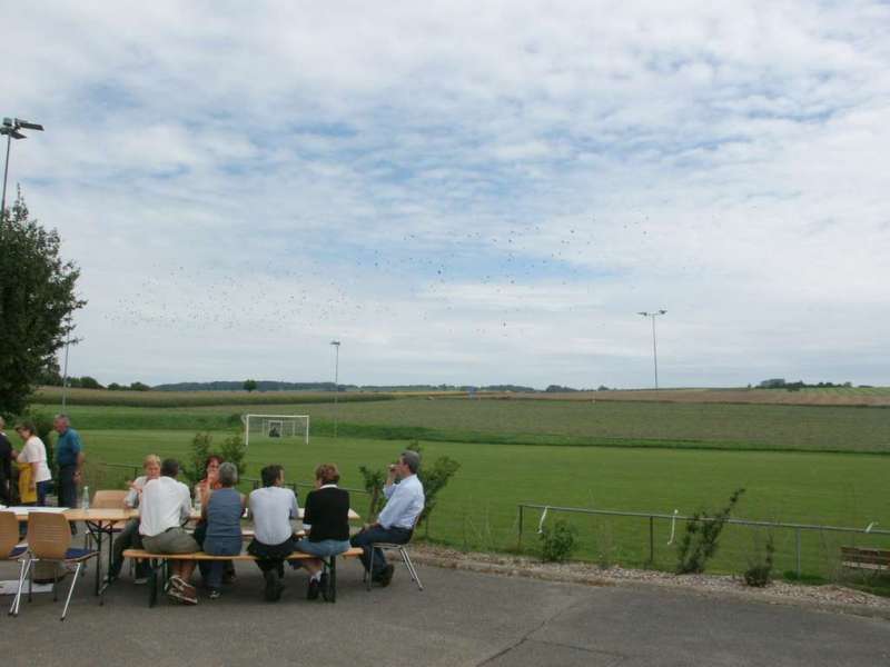 Pétanque 2006