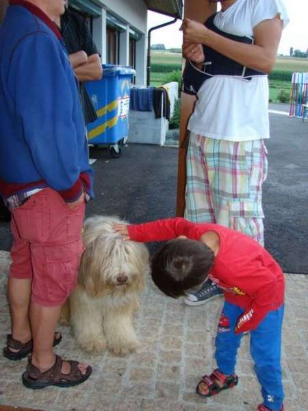 Tournoi de pétanque 2013