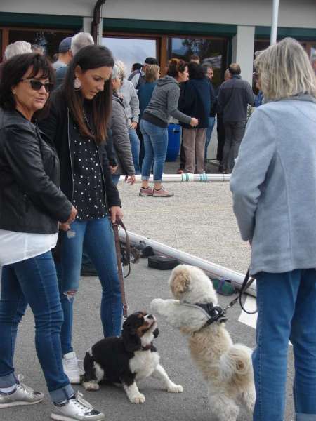 Pétanque 2018